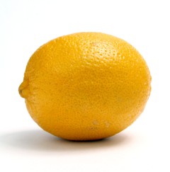 lisa birk lemon image
